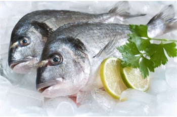 Đâu là thời hạn bạn có thể bảo quản cá tươi và cá đã nấu chín trong tủ lạnh