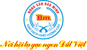 Bảo Minh